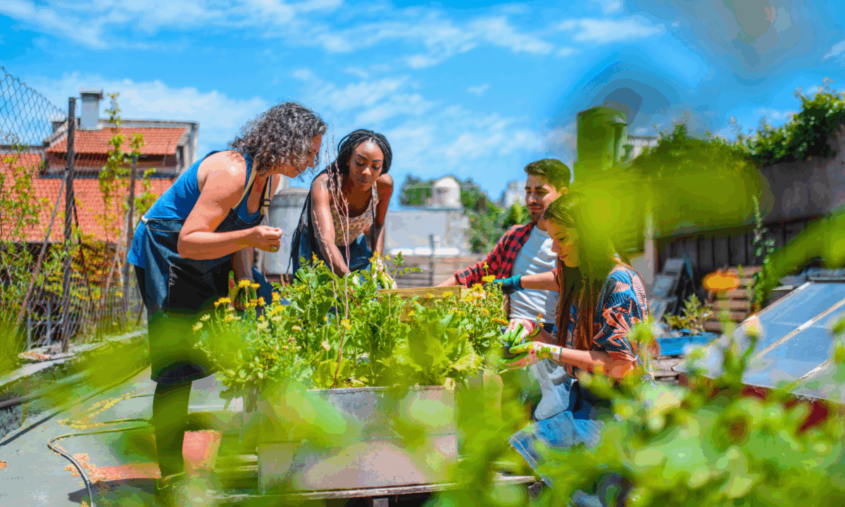 Pessoas trabalhando juntas em uma horta comunitária.
